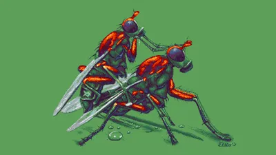 image of the Pixel graphic Healthy Meals for Summer Days by Elko